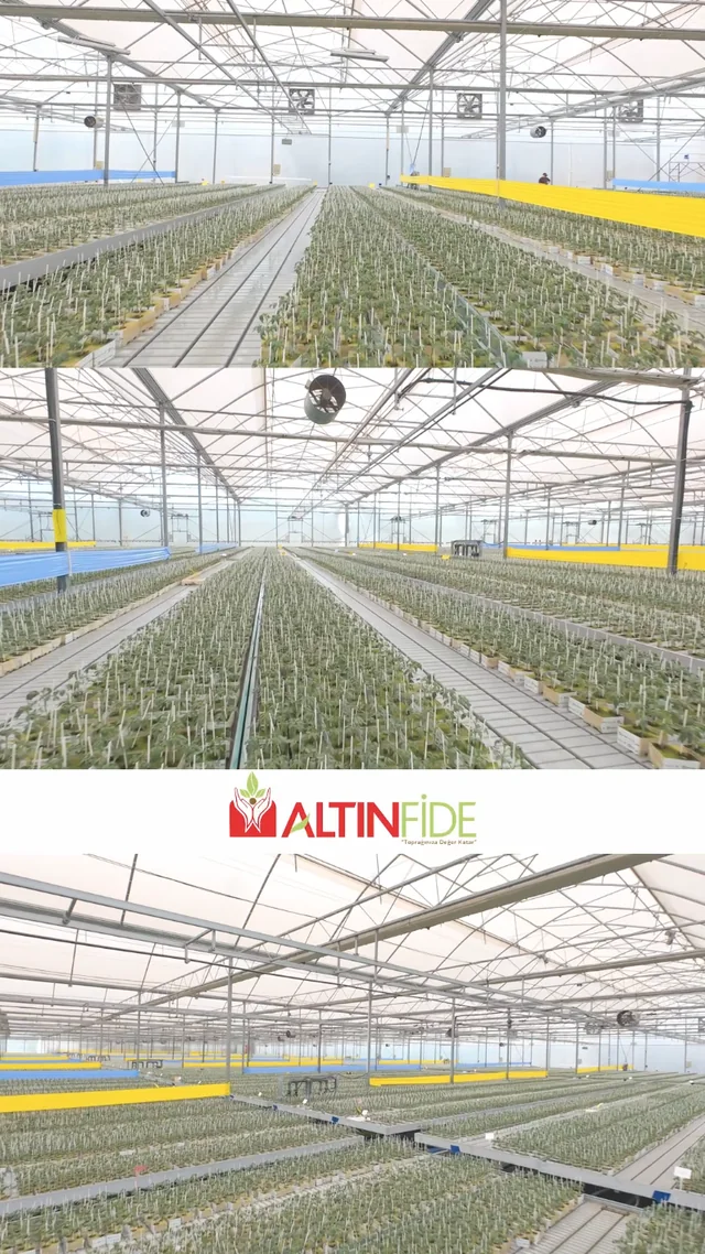 Altın Fide - Sera ve üretim tanıtım videosu